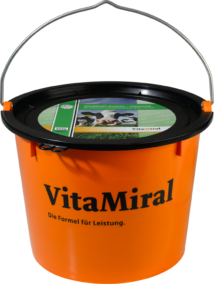 VitaMiral Kuchen-Universal